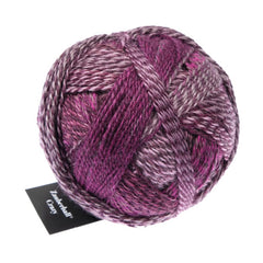 Schoppel Wolle - Zauberball Crazy