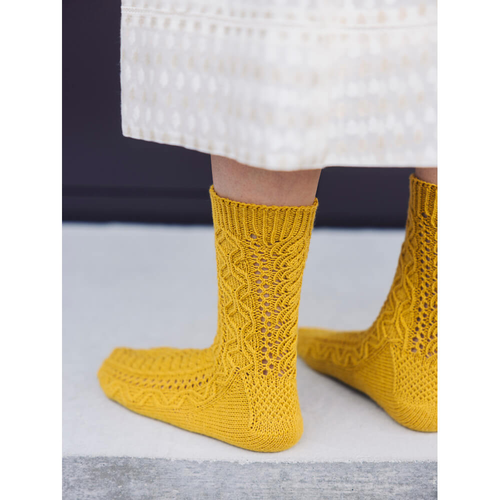 Amirisu - Sock Knitting Club - PREORDINE