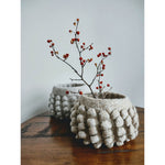 Jennifer Brou - Snowbowl