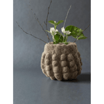 Jennifer Brou - Snowbowl