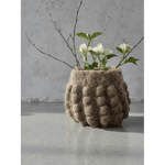 Jennifer Brou - Snowbowl