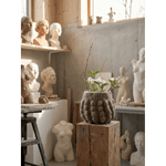 Jennifer Brou - Snowbowl