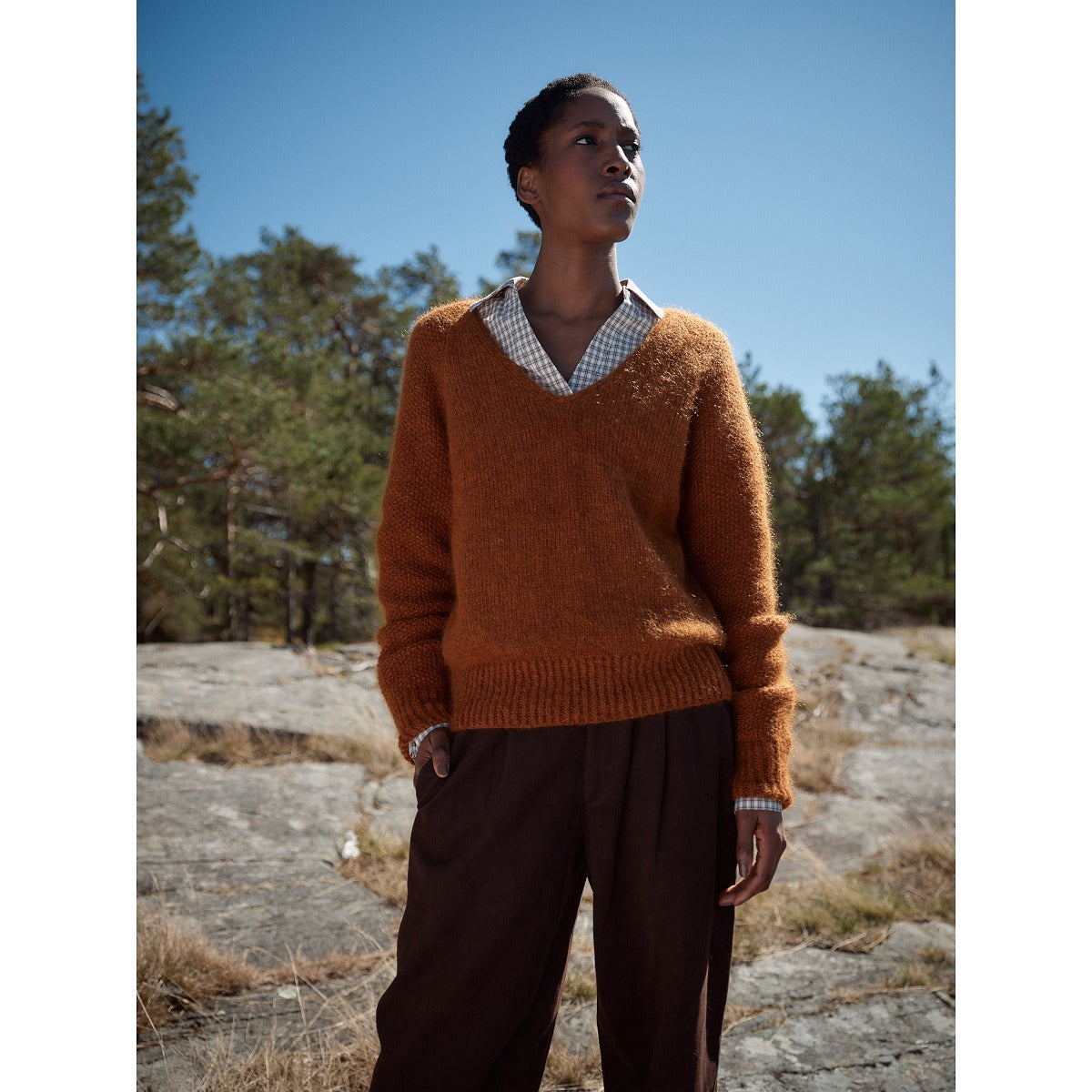 Laine - Anniversary Issue - PREORDINE