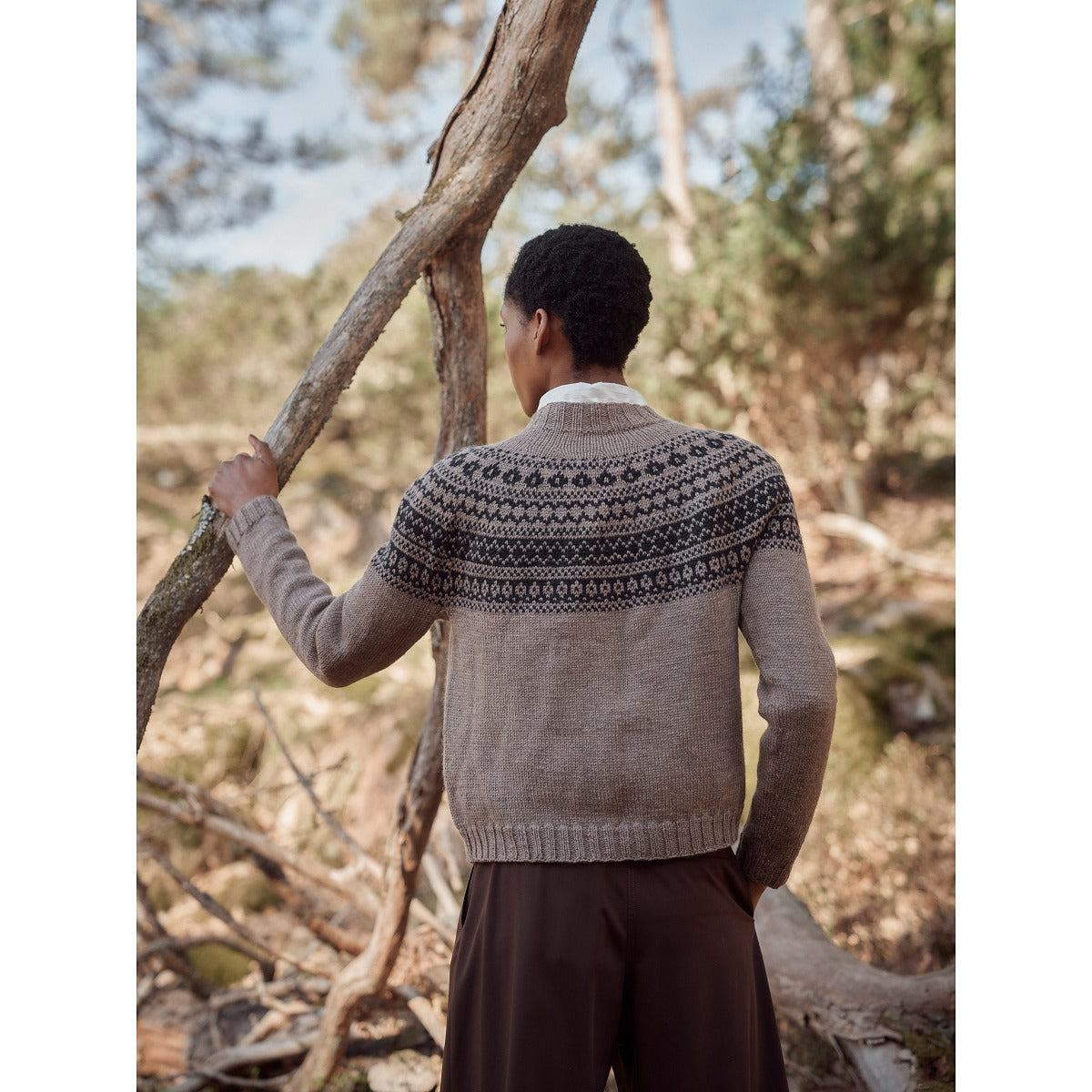 Laine - Anniversary Issue - PREORDINE
